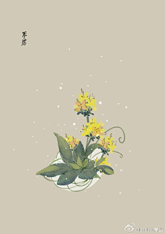 topM4lre采集到植物