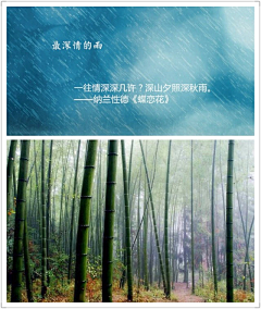 人生如逆旅、采集到文学