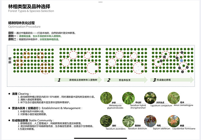 林相改造