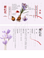 中草药| 以PPT的方式打开《本草中国》 - 小红书