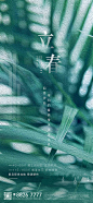 【源文件下载】 海报 房地产 立春 二十四节气  植物 油画