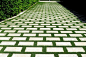 A Palm Beach home has a driveway made of pavers with grass joints.