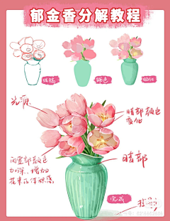 咸鱼水帝采集到物品