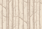 Woods by Cole & Son : Wallpaper Direct : Woods (Michael Clark 1959): A striking design sketched from trees and branches, making a unique repeat in an easy to use paste the wall wallcovering. showing in taupe on cream - Available in other colours. Plea