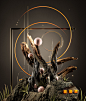 3D abstract art artwork color digital Digital Art  octane Render shapes