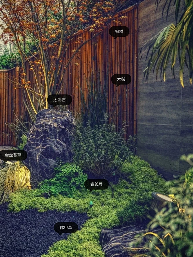 现代日式庭院怎么造景？植物搭配 收藏！-花瓣网
