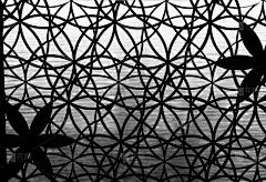 墙,格子,四方连续纹样,背景,水平画幅,形状,纺织品,无人,几何形状,单色调