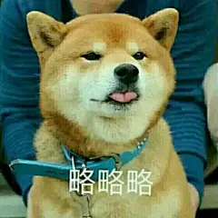 柴犬略略略吐舌头表情包