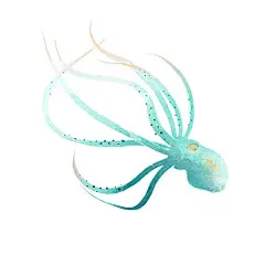 《让我告诉你》内页插画 西班牙 Adara Sánchez Anguiano 