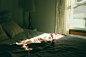 sydney-moore-wJtEEDb4HBM-unsplash