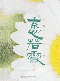 清代《天开寿域南极图》通往仙界的神秘之门 - 小红书