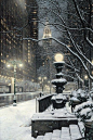 雪.夜 #雪景#