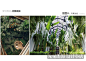 WB XQBZH010 公寓住宅小区 植物搭配 植物配置 标准化图册 合集-淘宝网