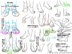 *秦*采集到人体部分