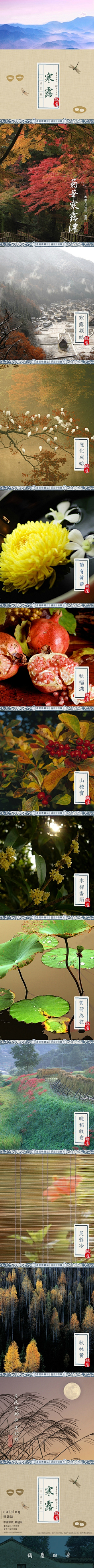 寒露-花瓣网|陪你做生活的设计师 | 結，芰荷為衣，目送秋杪。木樨香隕，菊華寒露濃重。芙蓉冷，玉梨落，梧葉飄黃，秋水漸老。難忘，雨收雲斷處，溪 ...