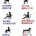 影响腰椎的动作
