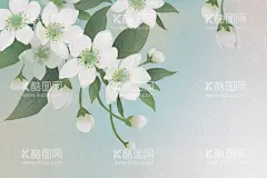 中国风梨花插画  - 源文件下载【酷图网】中国风,梨花,水彩梨花,纯白,纯洁,插画