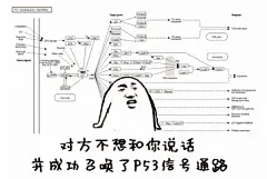 拥有丰富的表情包是一种什么样的体验？ - X 是种怎样的体验 - 知乎