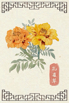吖珞珞采集到水彩花卉