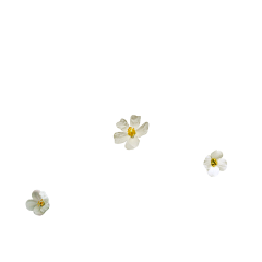 Bdyoung采集到水分子 细胞  背景