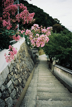 雨中的背影采集到那些花儿