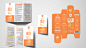 skincare sunscreen cosmetics Packaging brand identity Socialmedia campaign ads