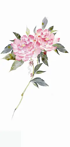 不过灯花瘦的照片 - 微相册