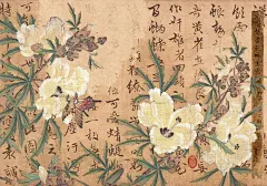 ipad桌面整理·古风｜壁纸无水印分享_6_王与宁-_来自小红书网页版