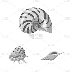 水生动植物,水族馆,图标,分离着色,鸡尾酒,自然,螺线,海产,灰色,收集