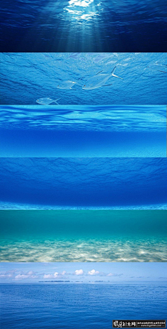 com采集草盛豆苗稀72采集到画册企业宣传册水族馆海洋世界海底世界