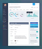 国外Dashboard UI界面设计