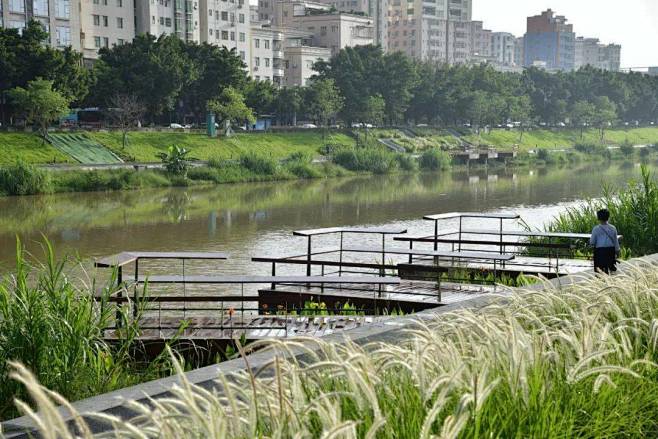 茅洲河蝶变 遇见城之美 | 同济设计TJAD_空间结构 : 试点段以茅洲河为主线，以沿线路网与现状空间结构为基础，通过区域生态环境优化、流域 ...
