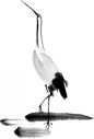 PPT模板  PPT中国风素材 国潮风素材_下载PPT前往【DGRPPT.COM】