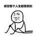 意境 美图 动物  大海 搞笑 gif  暴走漫画 文字控 斗图 表情包  金馆长表情包 装逼大神 撩妹
认真斗图，认真搞笑，认真生活 认真撩妹 