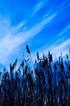 桌面壁纸预览_高清电脑桌面壁纸大全_风景壁纸_美女壁纸_动漫壁纸大全_漫漫看壁纸库