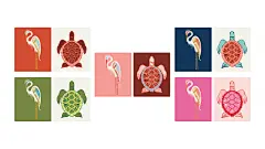 Camana Bay rebrand — Lee Steffen