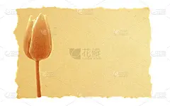 经典的爱情和情人节卡片。