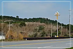 再访庭山村