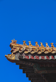 👑殿下采集到美图