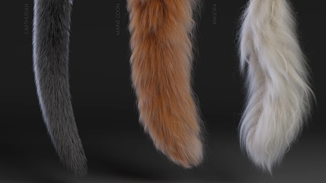 Cat Tails-花瓣网