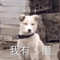 表情包