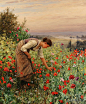 Daniel Ridgway Knight - Girl Picking Poppies