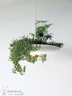 星辉-邵采集到我的爱好