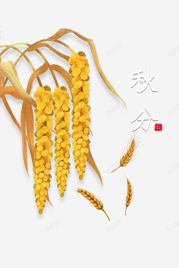 秋天秋分麦子枯叶二十四节气高清素材 二十...