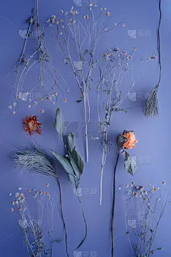 花组成。