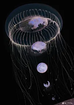 分享图片 ​​​​