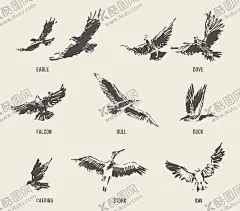 手绘鸟禽 【酷图网】飞鹤,苍鹰,老鹰,雄鹰,鹤鸟,燕子,飞燕,小鸟,仙鹤,布谷鸟,苍鹭,鸟类,手绘鸟类,雀类,飞禽,飞鸟,鸟羽,羽绒,鸟,翅膀,水鸟,羽毛,麻雀,喜鹊,吉祥鸟,幸福鸟,幸运鸟,展翅高飞,野生鸟禽,野生鸟类,珍稀鸟类,保护鸟类,保护珍禽,鸟类背景,动物背景,鸟类摄影,动物世界,生物世界