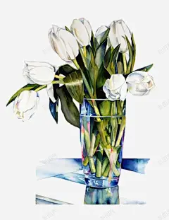 白色郁金香高清素材 白色 绿叶 花瓶 郁金香 免抠png 设计图片 免费下载