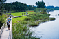 水弹性绿地：哈尔滨文化中心湿地公园——土人设计