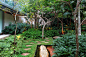 JARDIM BRASILEIRO | 22 Jardim Brasileiro